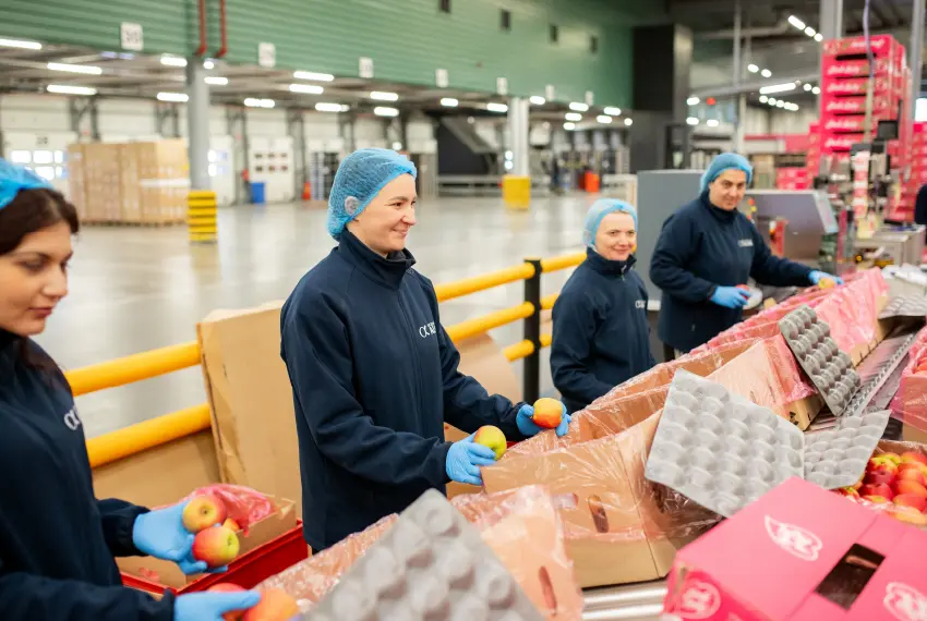Productie medewerker (Groente & Fruit)